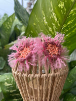 Load image into Gallery viewer, Flower Puff Aura
