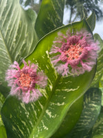 Load image into Gallery viewer, Flower Puff Aura
